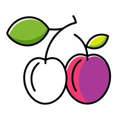 cherry plum fruit line art on white background