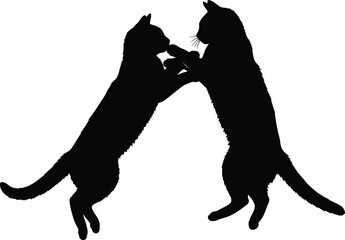 Playful feline silhouettes, two cats interacting, domestic animals