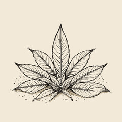 illustration of a botanical plant with detailed leaves in monochrome
