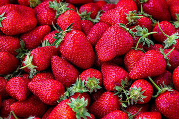 Fresh red strawberries arranged in an inviting display at a local farmer's market during a sunny afternoon in early summer