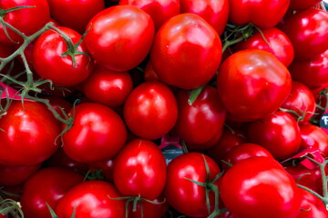 Fresh red tomatoes piled together at a local market during the summer harvest season in a vibrant display