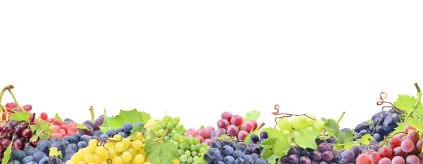 Frame grape fruit isolated