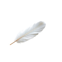 feather with transparent background PNG and JPEG image 