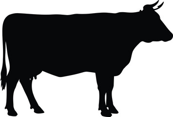 Silhouette of a cow isolated on a vector illustration vector