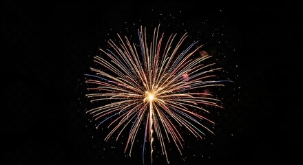 Vibrant Fireworks Burst Exploding Against Dark Night Sky
