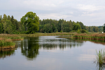 Fototapeta premium Pond with reflections of the forest