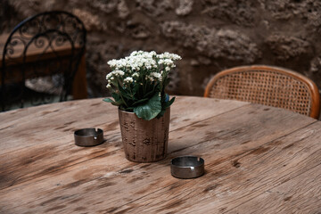potted flower and ashtray on wooden table 