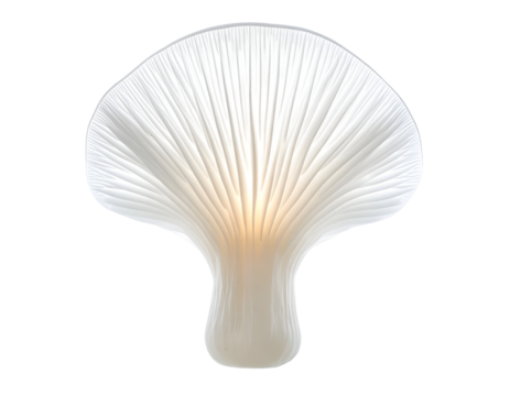 white oyster mushroom underside showing radiating gills and glowing translucent flesh, minimalist studio view on isolated background
