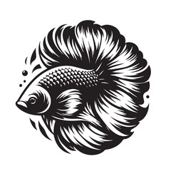 black and white betta fish logo vector