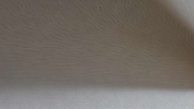 Dynamic white curved lines rotating, morphing between smooth and textured surfaces, generating intricate abstract visual patterns with fluid, elegant movement