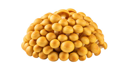 dried fruit and nuts