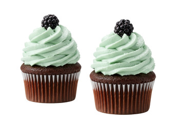 Isolated cupcakes topped with mint frosting and blackberries for confectionery product design