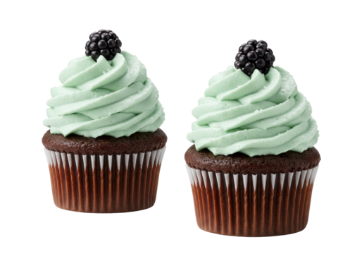 Isolated cupcakes topped with mint frosting and blackberries for confectionery product design