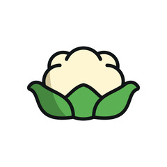 Cauliflower icon in color with line for nutrition, cooking, and meal visuals.