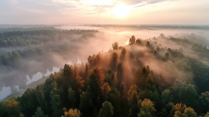 Serene Morning Sunrise Over Misty Forest Landscape with Golden Rays of Light