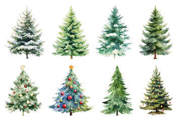 PNG Watercolor Christmas tree collection, element set on transparent background