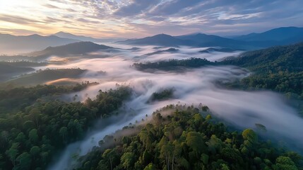 Aerial View of Lush Green Forests Shrouded in Mist Under a Golden Sunrise
