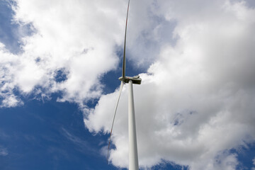 Windmills in the fields are mainly used to produce green electricity from wind