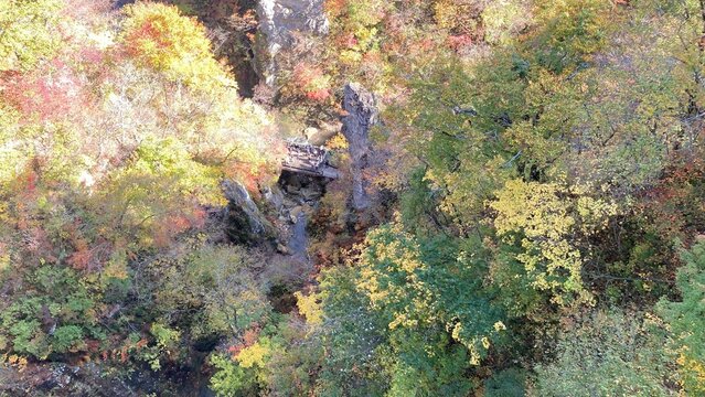 鳴子峡の紅葉と渓谷の絶景 / Autumn Foliage at Naruko Gorge, Miyagi Japan