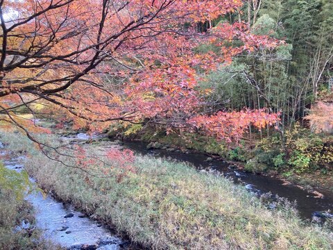 鳴子峡の紅葉と渓谷の絶景 / Autumn Foliage at Naruko Gorge, Miyagi Japan