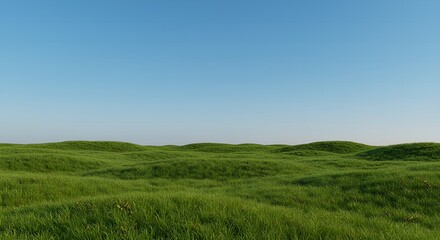 Fototapeta premium green grass and blue sky