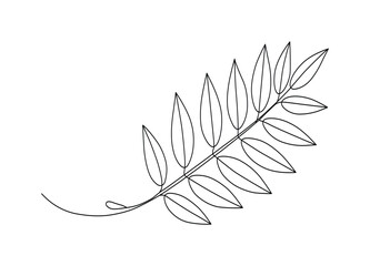 Elegant botanical illustration of a fern frond with simple line art on a clean white background great for minimal design and logo concepts
