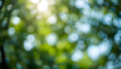 Obraz premium “Green Bokeh Light Nature Background – Shiny Tree and Sky Shadows with Soft Beautiful Blur”