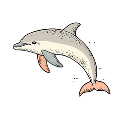 Leaping Dolphin Animal Wildlife Vector Illustration for Print and Decals