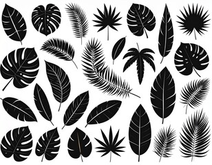 Tropical leaves, palm leaves silhouettes, diverse collection, black shapes, design 