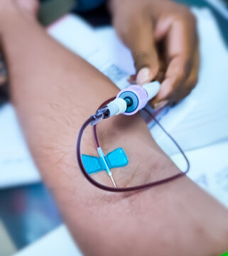 Blood collection using venipuncture technique in arm, phlebotomist.