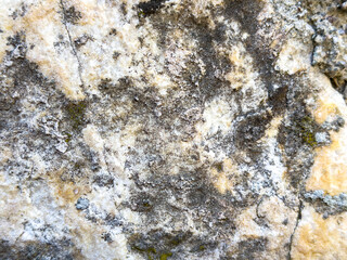 Weathered rock surface with textured patterns and natural colors