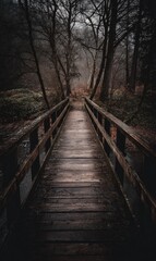 Fototapeta premium A dark, moody perspective down a wooden footbridge spanning a misty woodland stream. The path ahead is shrouded in fog, creating a mysterious atmosphere