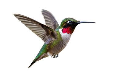 Fototapeta premium Ruby-throated hummingbird in flight isolated PNG with Transparent Background