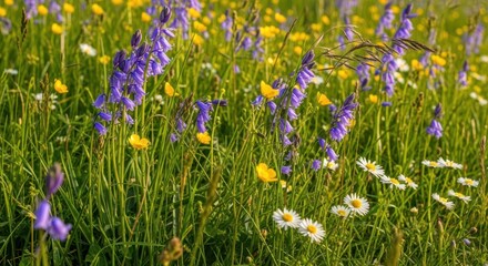 A vibrant meadow filled with wildflowers and grasses under a clear blue sky.