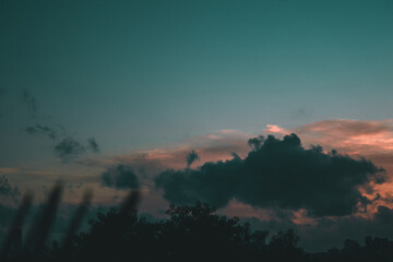 Beautiful Nature Background for Wallpaper and Design