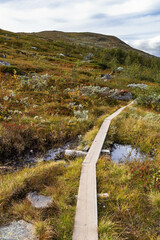 Hiking trail wooden and well-trodden footpath through the Swedish Jämtland triangle backpacking route.