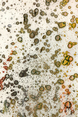 Art. Art design. Art texture. Artistic background. Abstraction. Abstract background