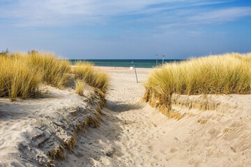 sand dunes and beach