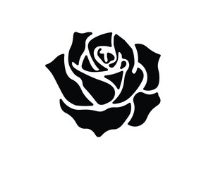 Romantic Rose Flower Vector Illustration