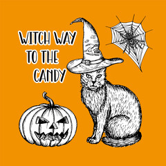Halloween card design with a lettering phrase. A cat in a magic hat sketch outline illustrations, drawings in engraving style. Hand-drawn vector line art clipart