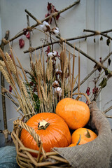 Four yellow and orange pumpkins of different sizes arranged in rustic basket as outdoor halloween decorations perfect for autumn harvest seasonal decor and traditional countryside display