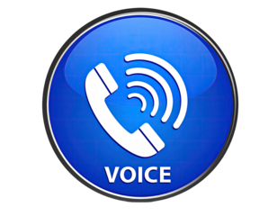 Round blue button with white phone icon and "VOICE" text