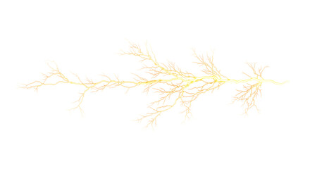 Obraz premium Illustration of a human nerve cell, also known as a neuron, isolated on transparent background its a fundamental unit of the nervous system, transmitting signals