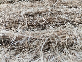 pile of dry brown fibers