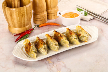 Japanese fried Gyoza stuffed dumplings