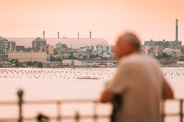 Blurry foreground with Taranto skyline at sunset