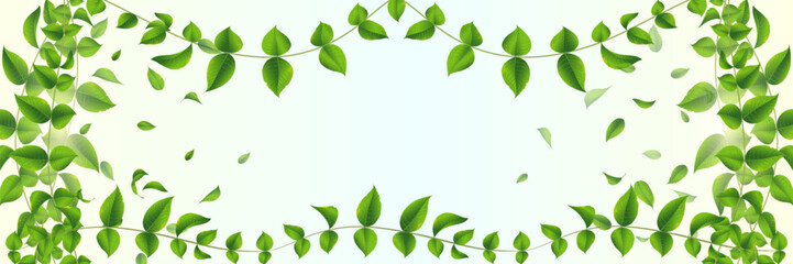 Fototapeta premium Eco botanical frame with copy space
