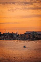 Industrial skyline silhouetted at Taranto sunset