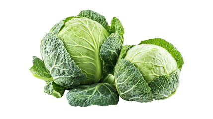 Obraz premium Fresh green cabbage isolated on white