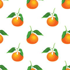 Seamless pattern with orange fruit.